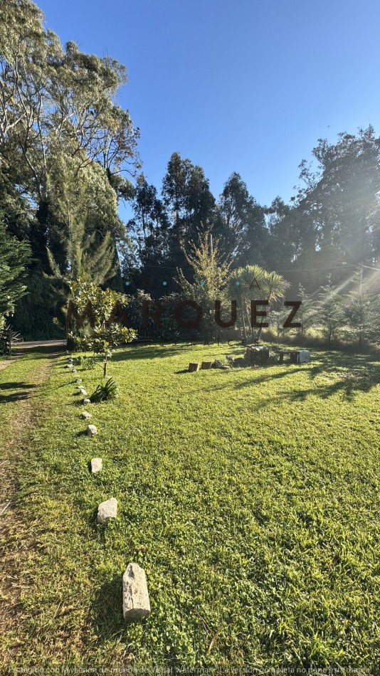 CASA CON AMPLIO TERRENO + PERIMETRO CERRADO CON PINOS